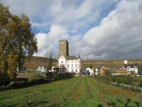 Божоле 2016 2292.JPG