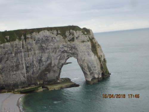 Ароматы, 11.04.2016 616.JPG