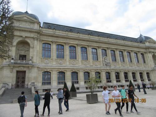 март, париж 1060.JPG