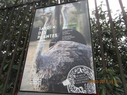 март, париж 987.JPG