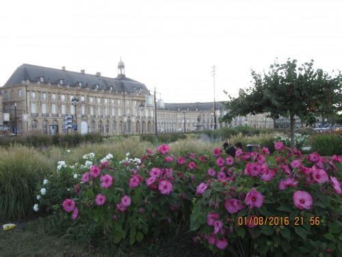 2GT 1 часть2016 1161.JPG