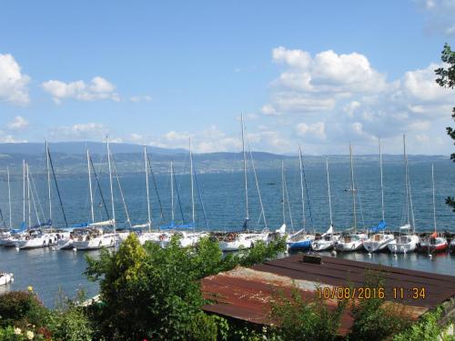 2GT 2016, 2 часть 1117.JPG