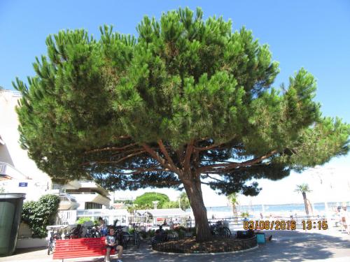 2GT 1 часть2016 1661.JPG