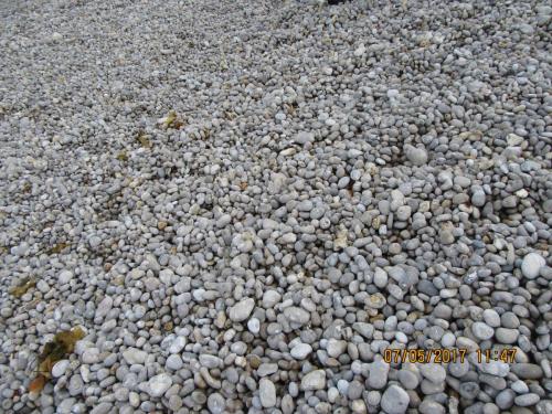 Нов. Ароматы 2 983.JPG