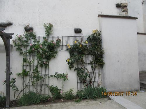 Ароматы 2 (2017) 1589.JPG