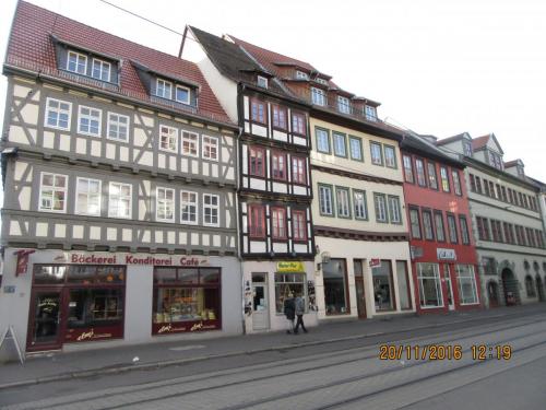 Божоле 2016 2430.JPG