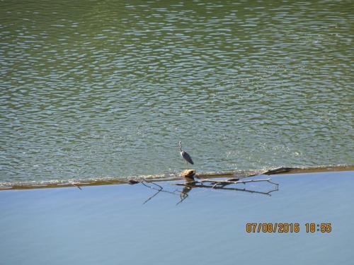 2GT 2016, 2 часть 403.JPG