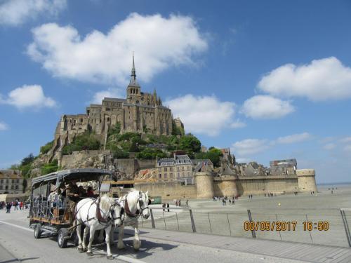 Нов. Ароматы 2 1537.JPG