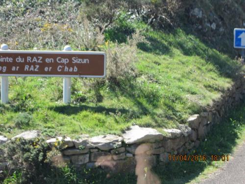 Ароматы, 11.04.2016 1117.JPG