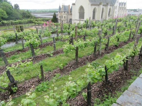 Ароматы 2 (2017) 415.JPG