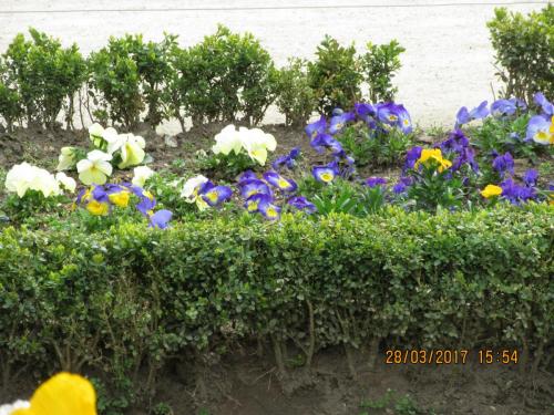 март, париж 1042.JPG