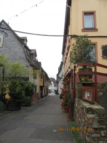 Божоле 2016 2173.JPG