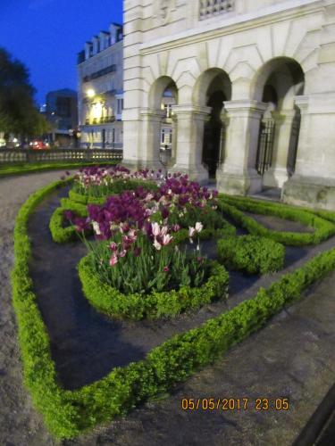 Нов. Ароматы 2 430.JPG