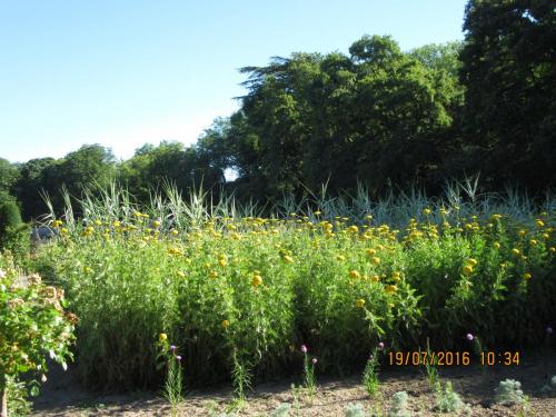 Великолепная Франция 2016 1238.JPG