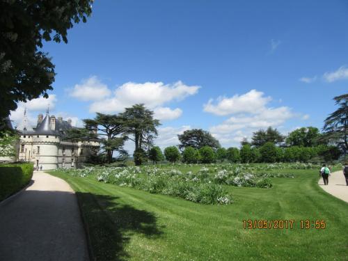 Ароматы 2 (2017) 932.JPG