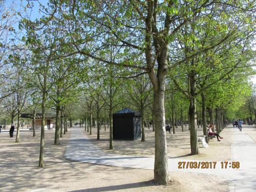 март, париж 823.JPG