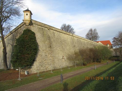 Божоле 2016 2377.JPG