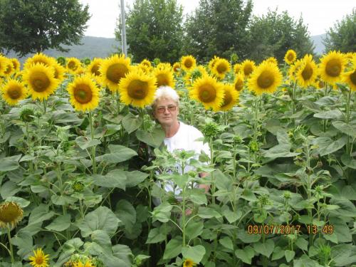 2 AS, 1 часть 1117.JPG