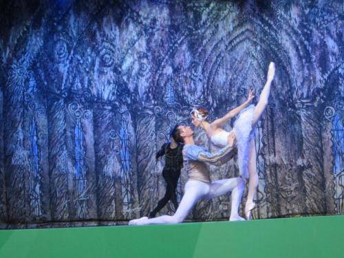 Лебединое озеро 045.JPG