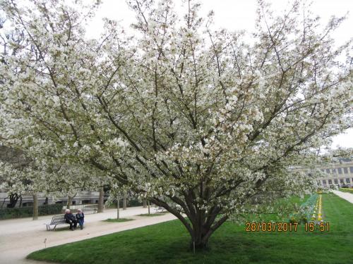 март, париж 1027.JPG