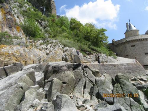 Нов. Ароматы 2 1491.JPG