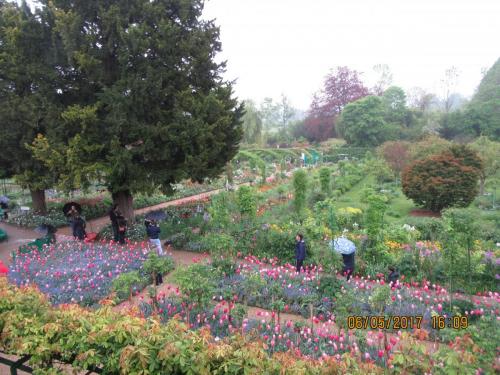 Нов. Ароматы 2 731.JPG