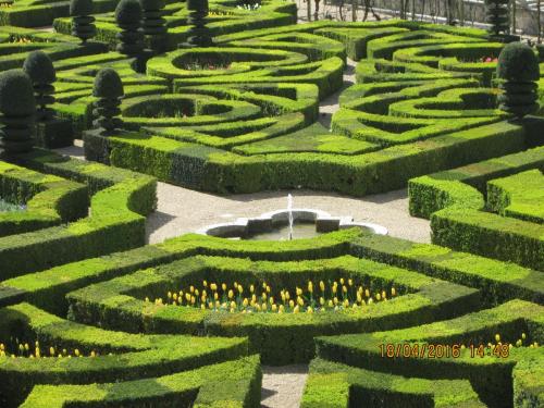 Ароматы, 11.04.2016 1265.JPG