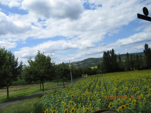 2GT 1 часть2016 1066.JPG