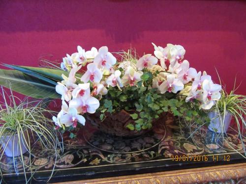 Великолепная Франция 2016 1304.JPG