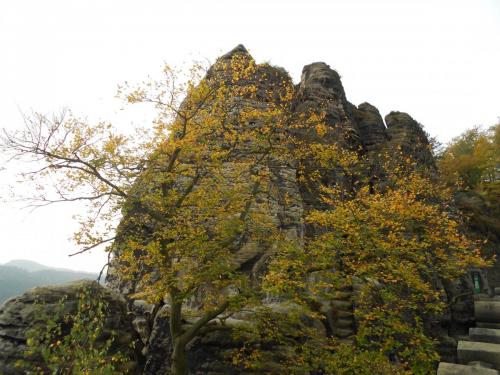 DSCN1292.JPG