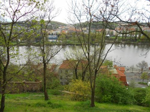 DSCN0904.JPG
