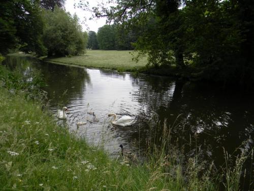 Европа2010 043.jpg