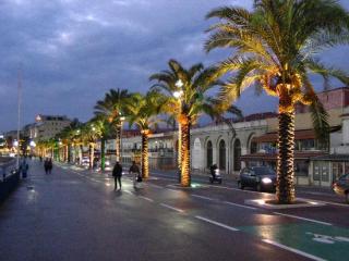 Promenade des Anglais.jpg
