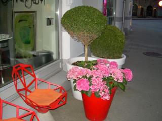DSCN6091.JPG