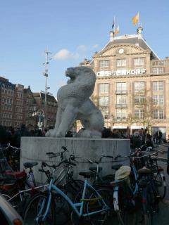 P1060068-1.jpg