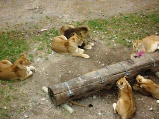 DSC04925.JPG
