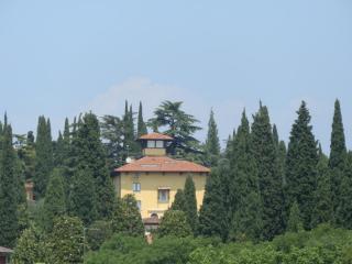 P7110687.JPG