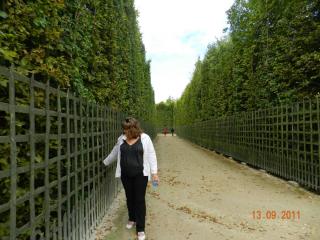DSCN1878.JPG
