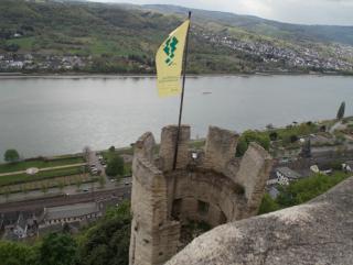 167.jpg