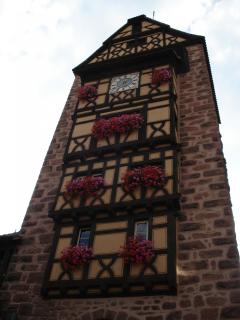 DSC02418.JPG