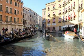 IMG_4806.jpg