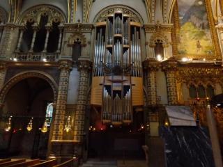 DSC00398.JPG