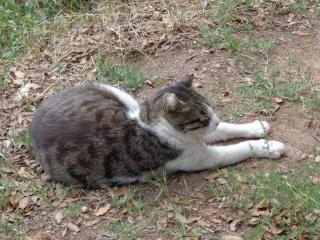 DSC00412.JPG
