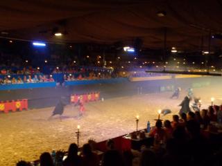 DSC00429.JPG
