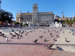 DSC00380.JPG