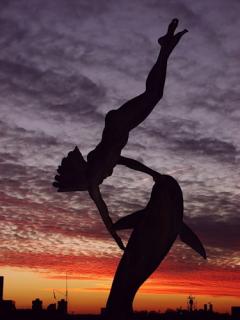 dolphin-20100222.jpg