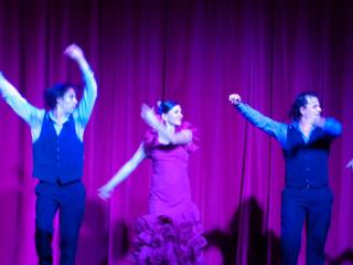 DSC00443.JPG