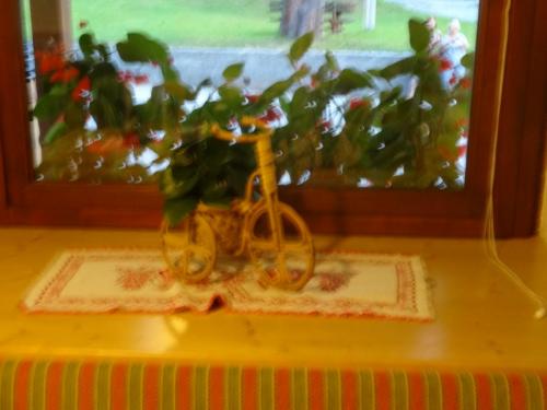 2016-09-15 05-00-14.JPG