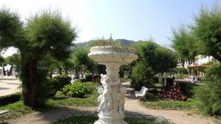 DSC 00571.jpg