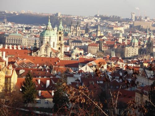 2015-12-31 13-19-56.JPG